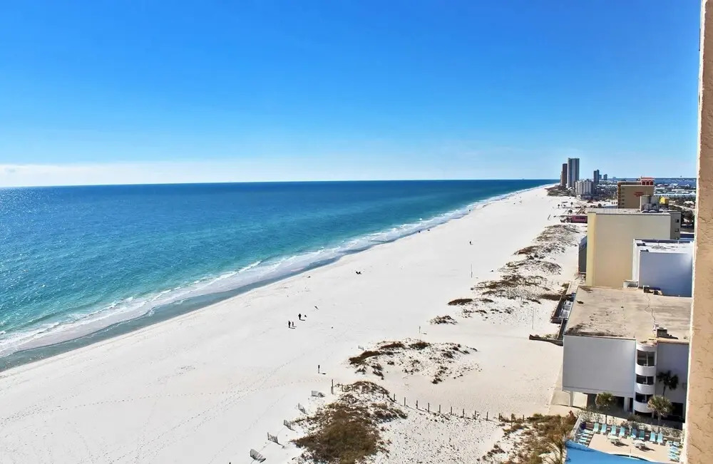 San Carlos 1201 by Youngs Suncoast