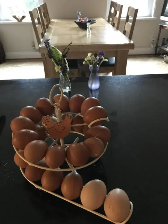 Arfryn House Bed and Breakfast