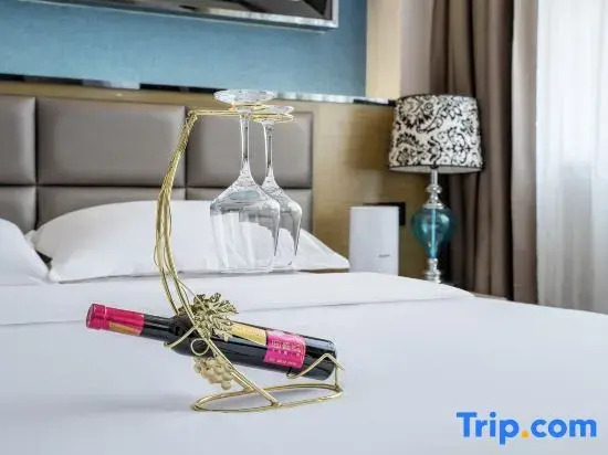 Silver Star Rezen  Hotel (Hotan Night Market)