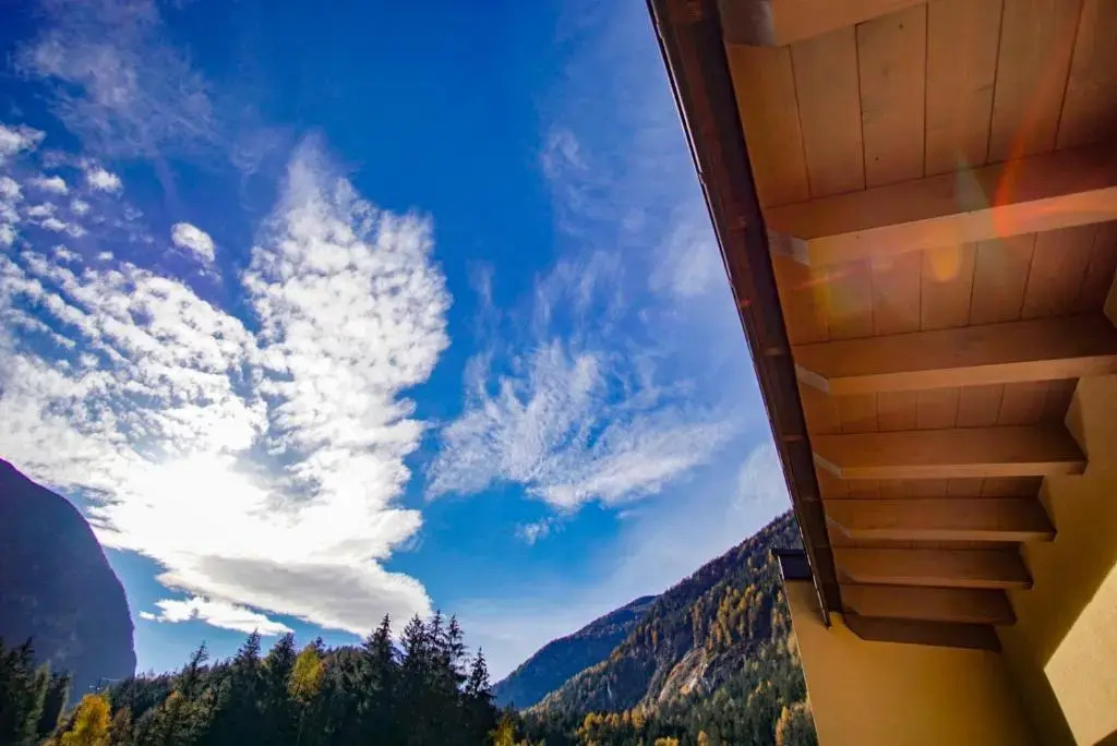 Apart Waldblick