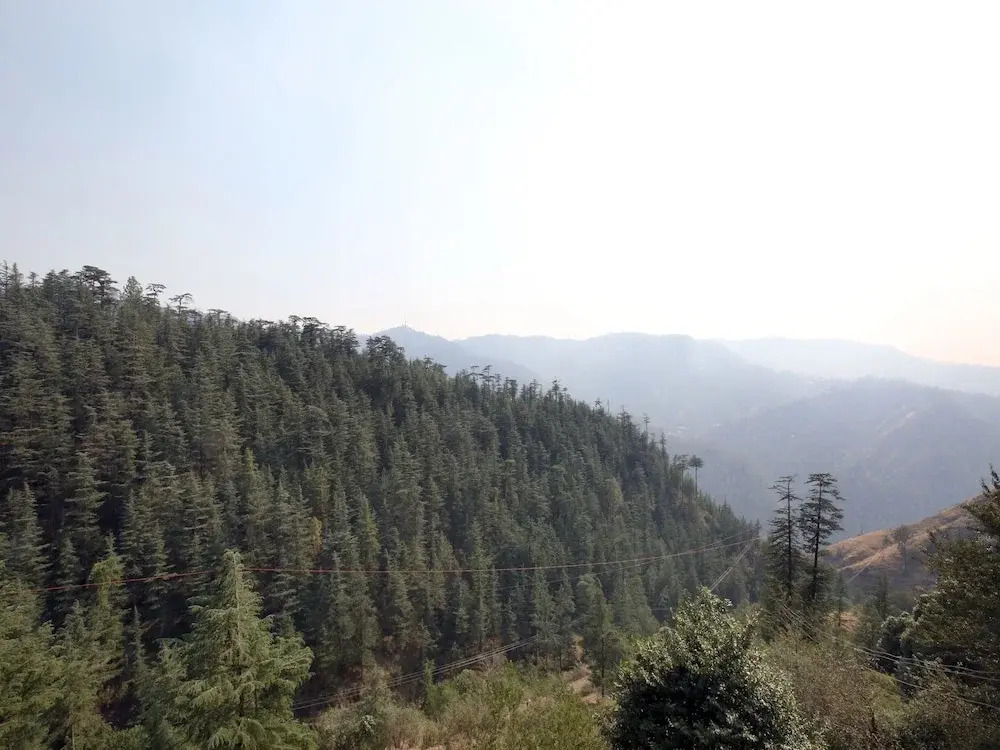 OYO 13667 Home 2RK Pine Forest View Bharari