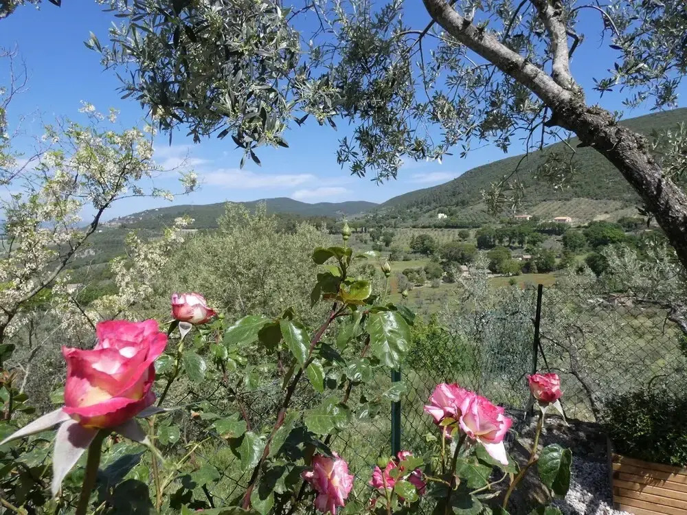 Scappo In Umbria, La Casa Di Giuliana