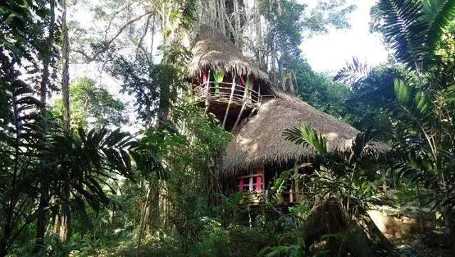 La Maison du Banian