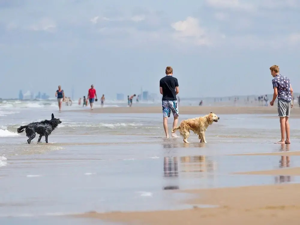 Noordwijk Holiday Rentals