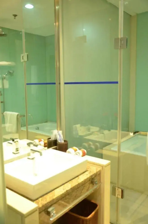 Louis Business Hotel