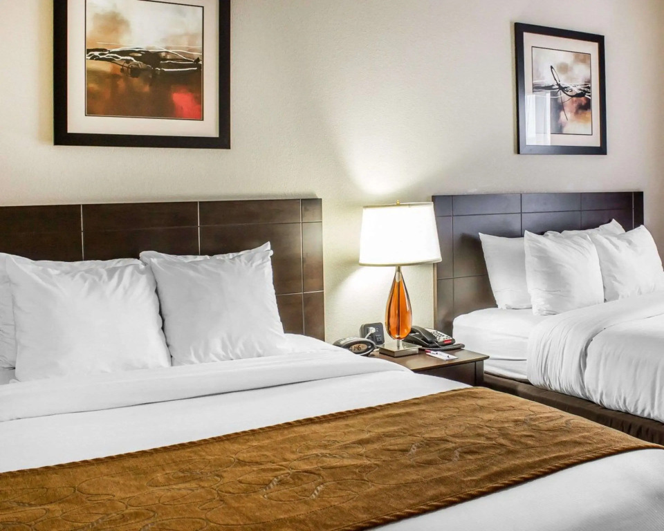 Comfort Suites Wilson - I - 95