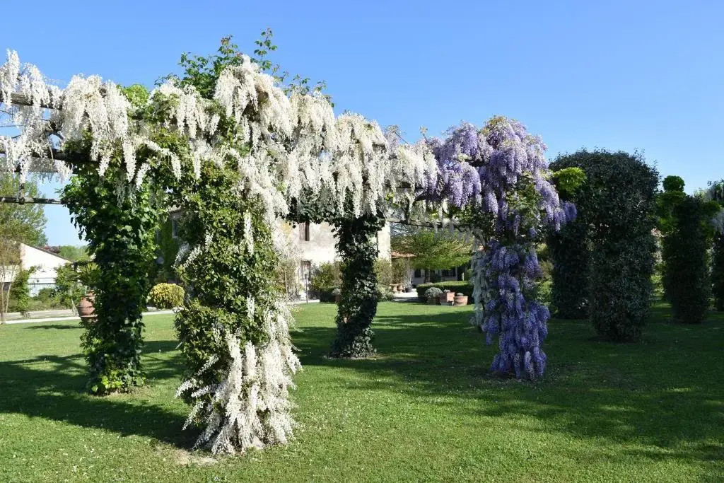 Venicegreen Agriresort
