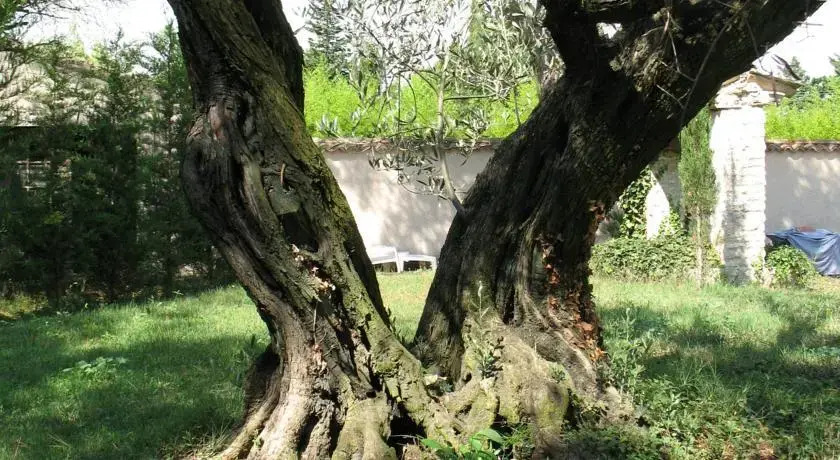 La Picholine