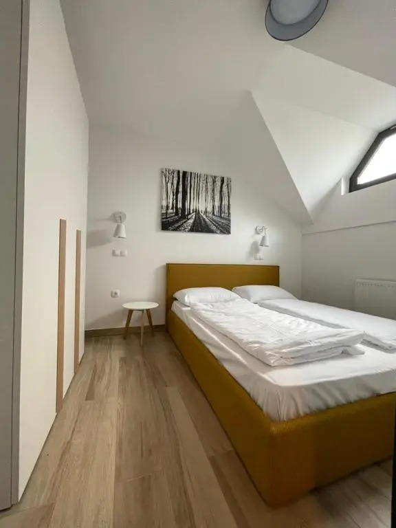 Golte - A2 Apartment - ski in/Out