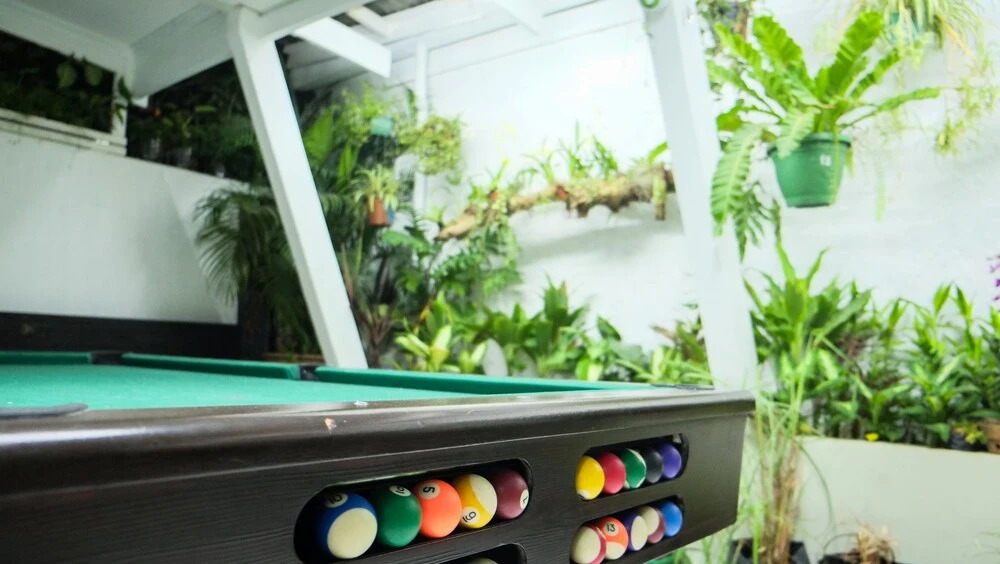 Humble Hut Hostel