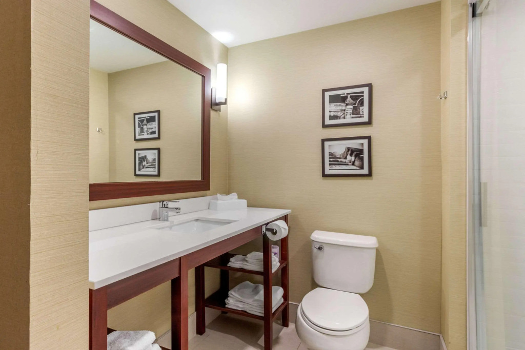 Comfort Suites Downtown Windsor