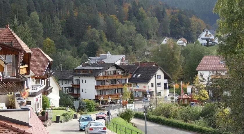 Schwarzwaldhaus am Kurpark