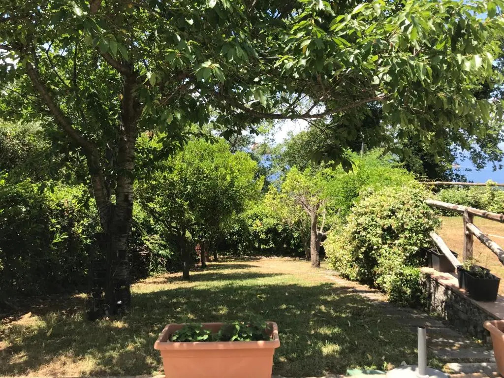 Villa Rosamaria