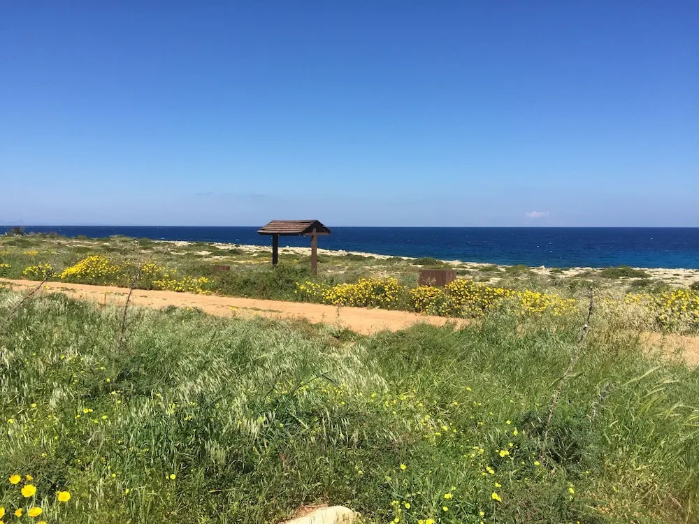 Artisan No 6 First Line Seafront villa