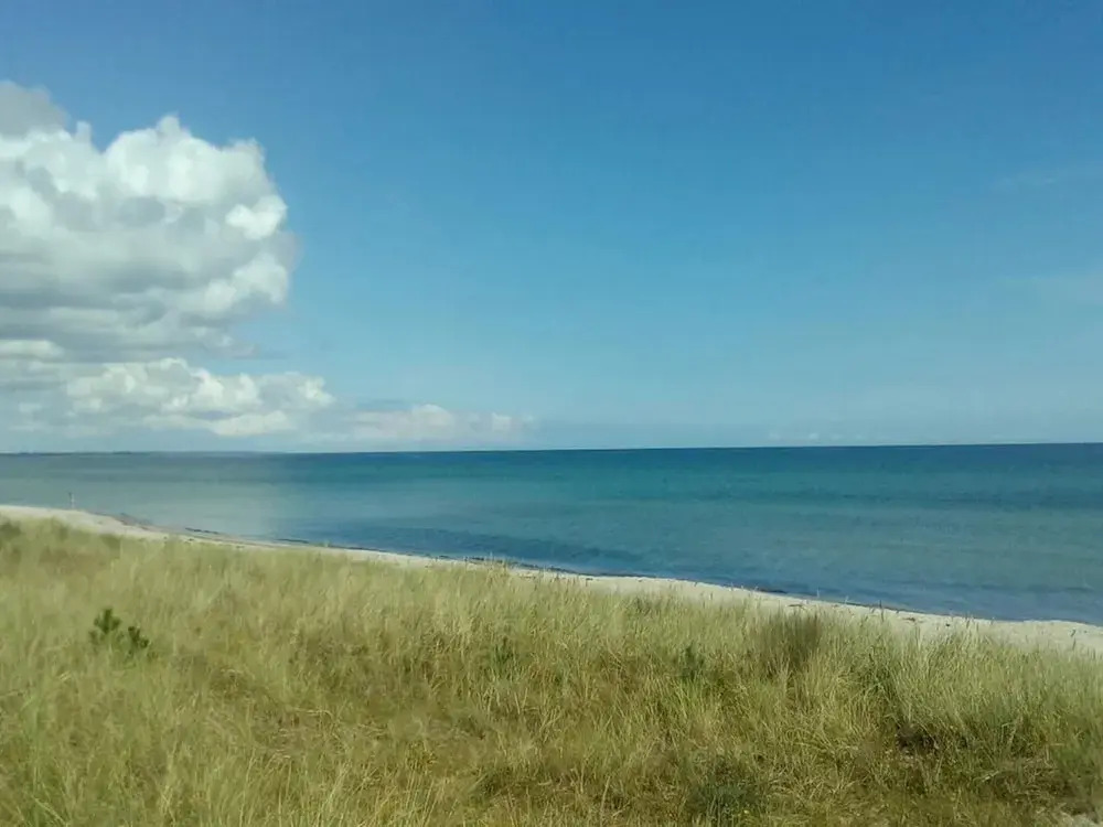 4 Person Holiday Home in Vaeggerlose