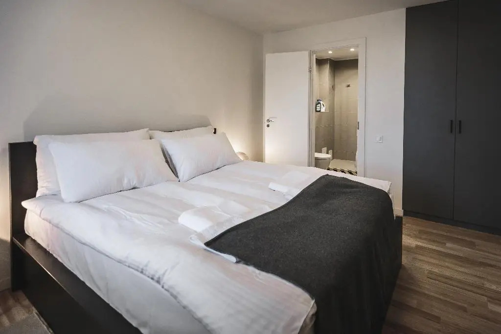 Riga Lux Apartments Friedrich