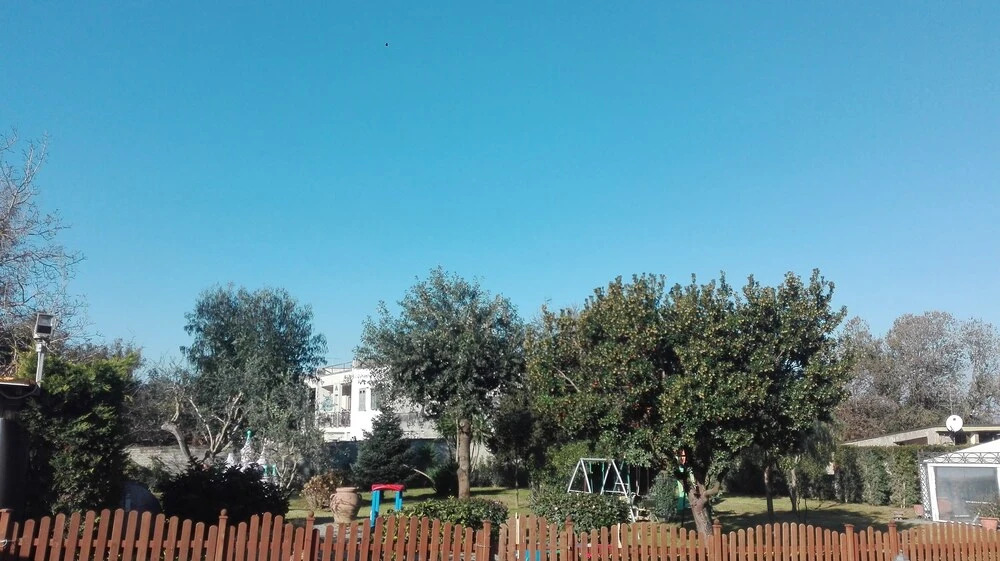 B&B Il Castagnaro