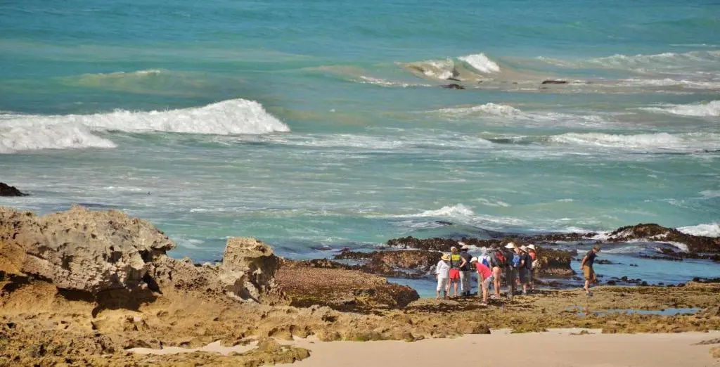 De Hoop Suites