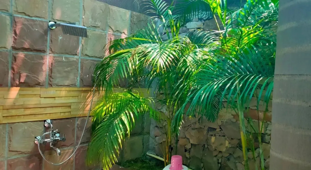 Anokhi Dhani Resort