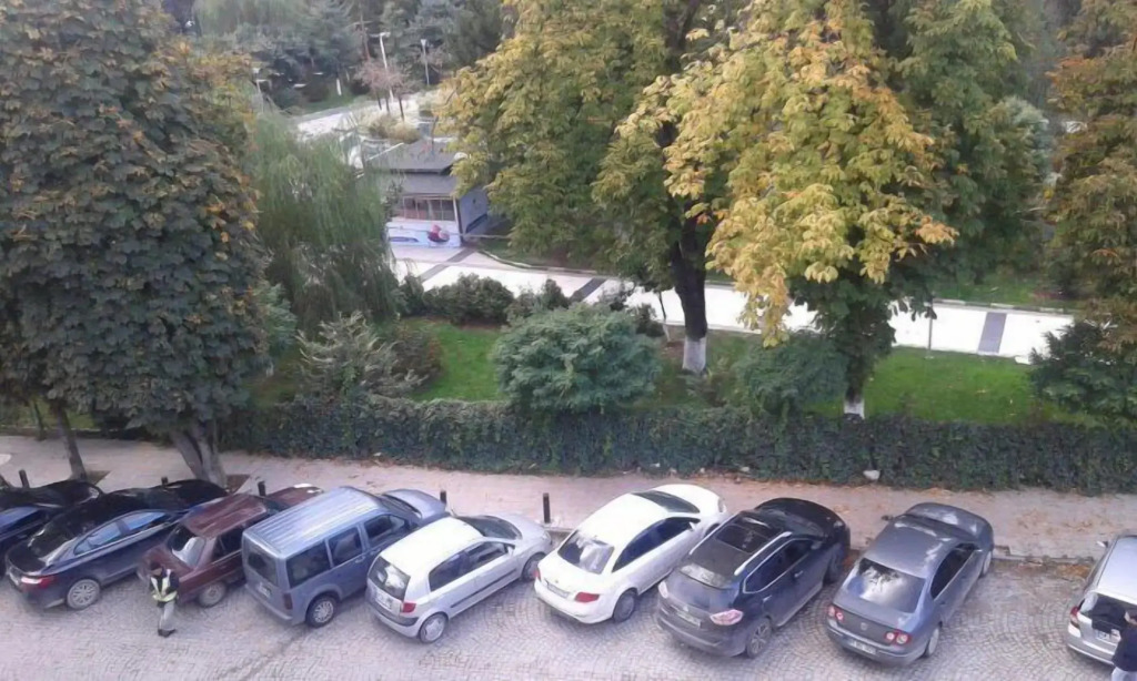 Отель Альмина Парк