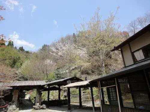 Ogiso
