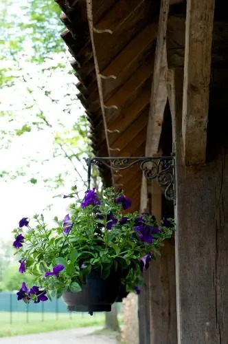 B&B De Keyartmolen