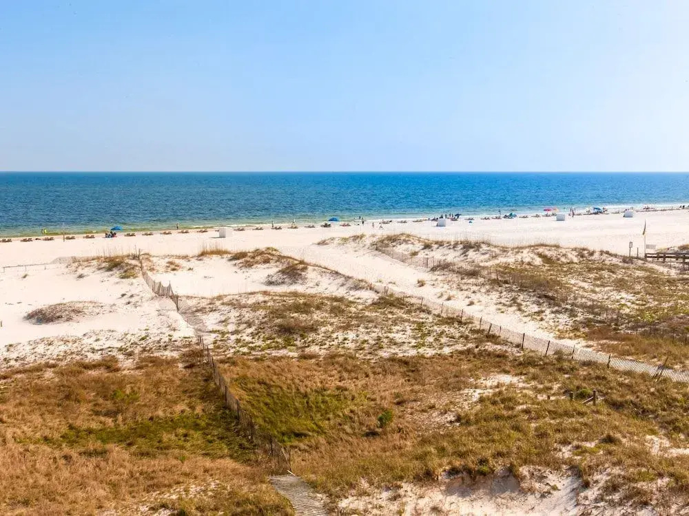 Sunny Beach Retreat #11 - 2 Br Condo