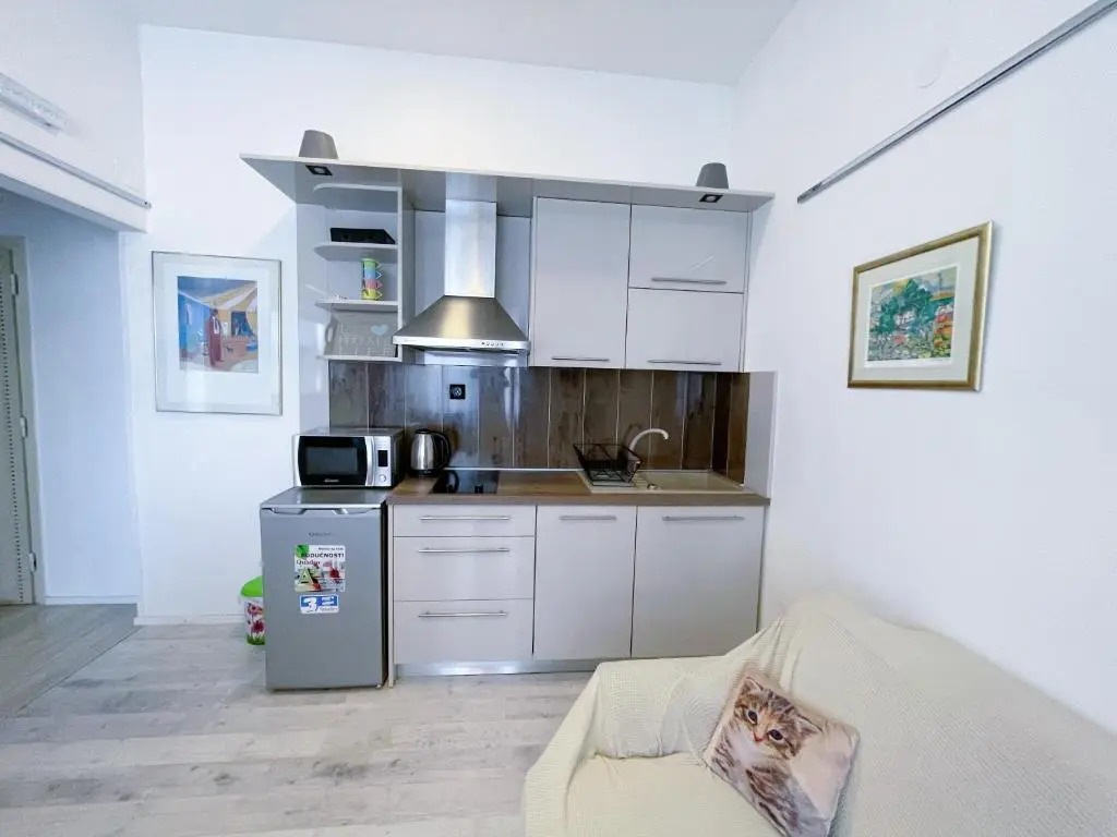 Top Art Topusko Apartments