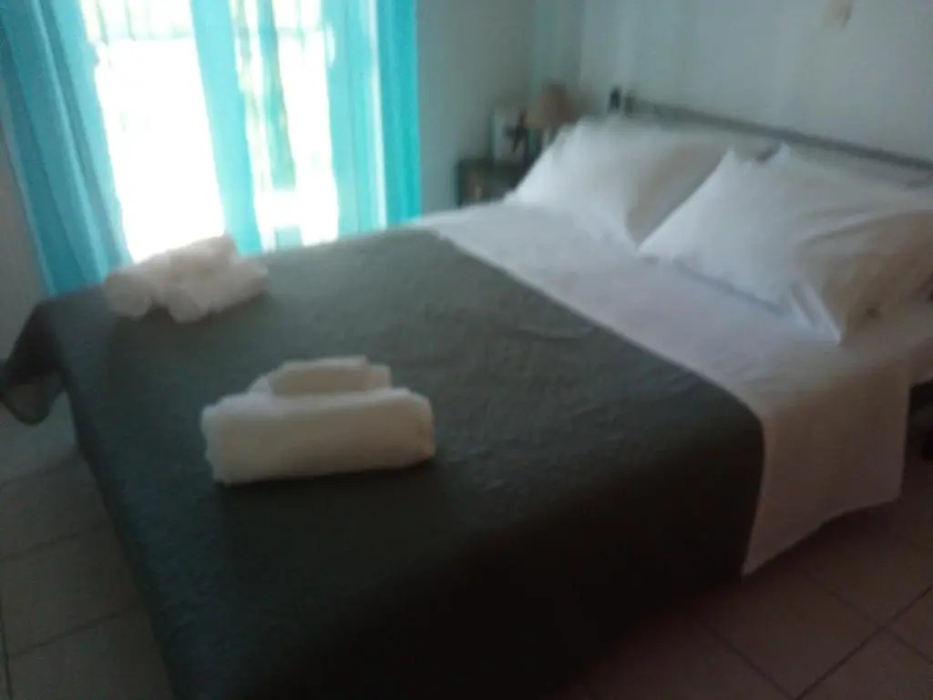 Fani's Apartments 1
