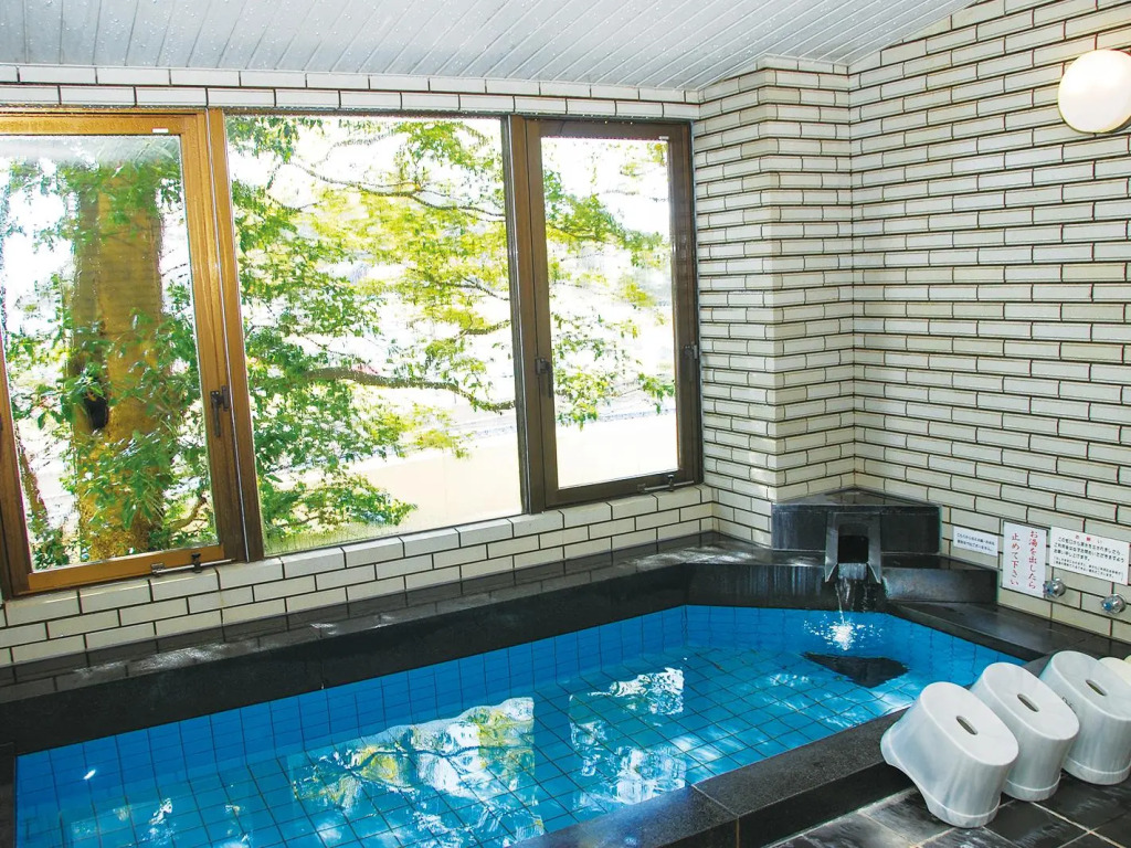 Hotel Takeshi Sanso