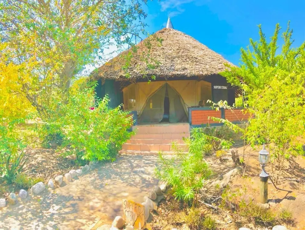 Explore Mara Camp