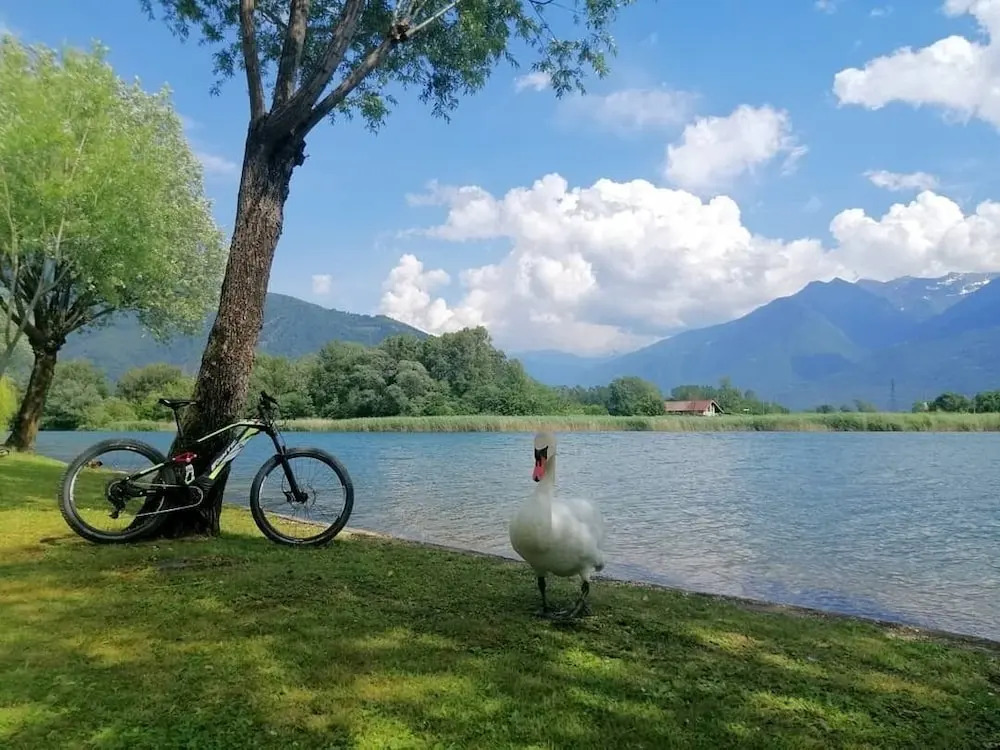 LA VALIGIA Bed & Bike - Gateway to Valtellina & Lake Como