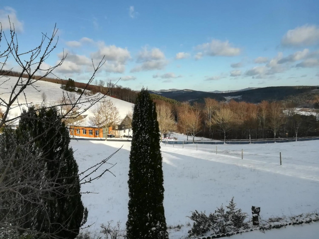 Ferienwohnung Sauerland Fernblick