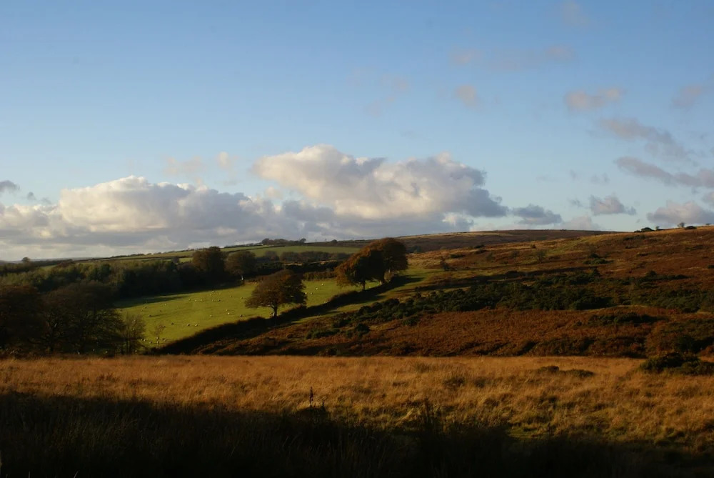 Barton House B&B