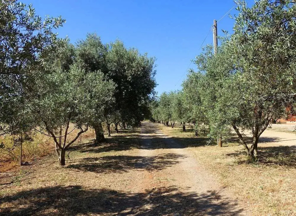 Agriturismo Marongiu