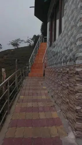 Vamoosetrail Mahal Diram