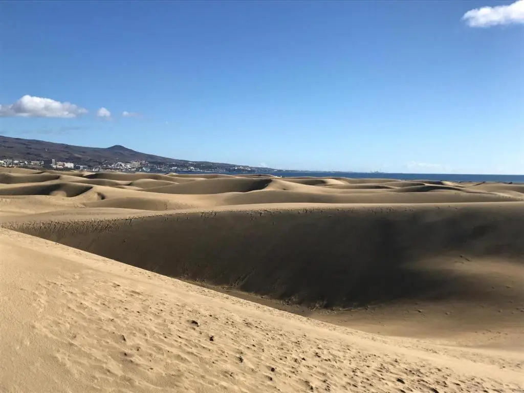 5 min walk from Yumbo 216