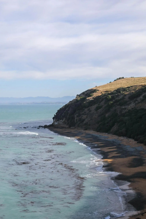 THE MEWS Oamaru