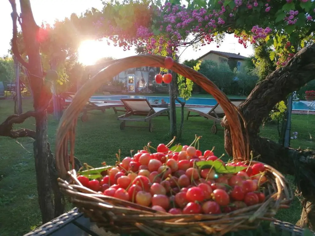 Podere Piandarca