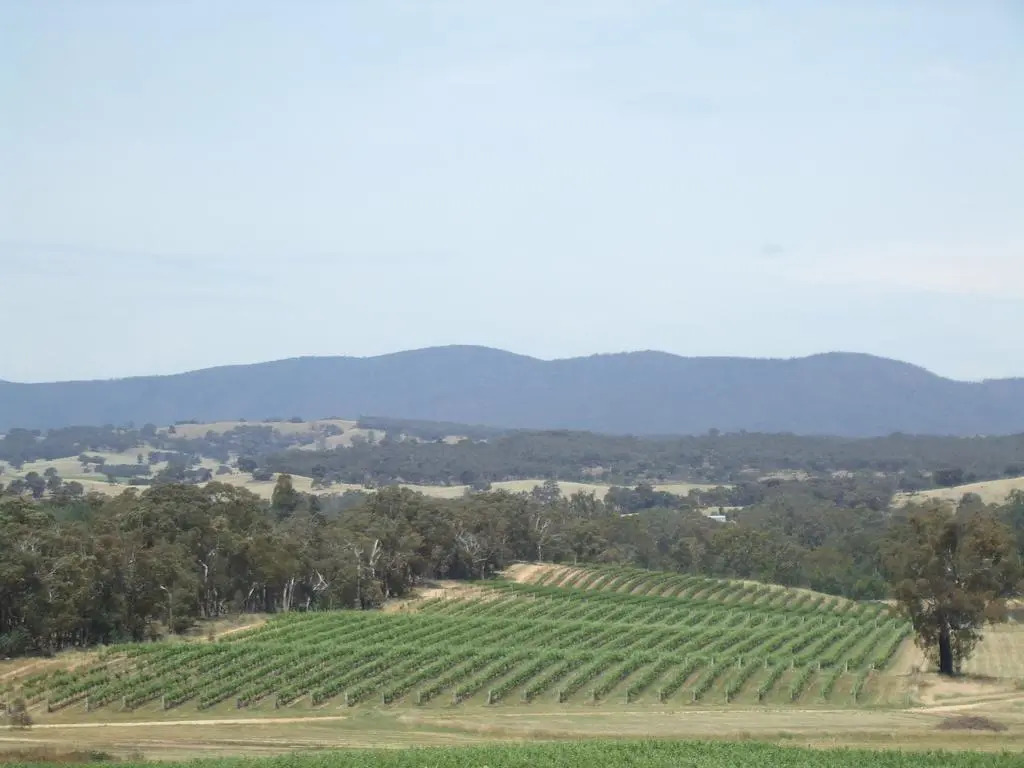 Summerfield Winery and Accommodation