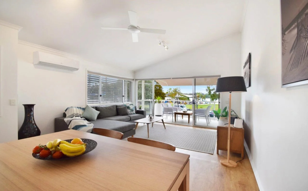 Noosa River Palms