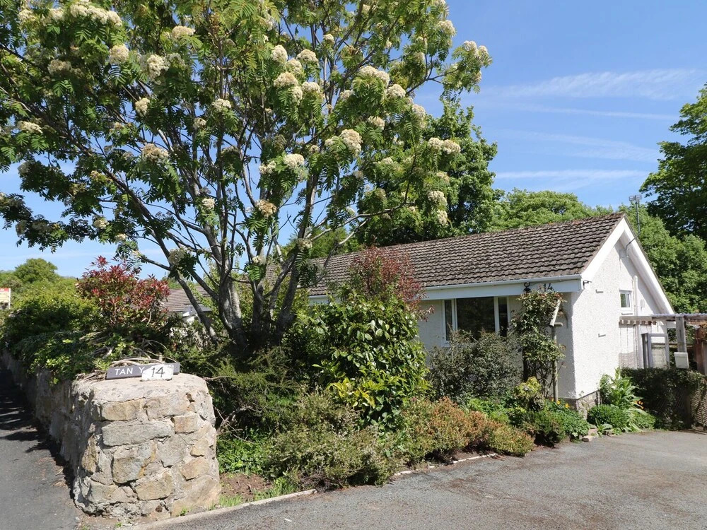 Tan-y-Coed