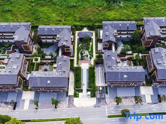 Qingcheng Mountain flowers fall twelve courtyard