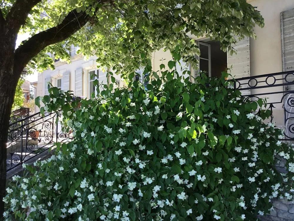 B&B en Provence- Villa Saint Marc