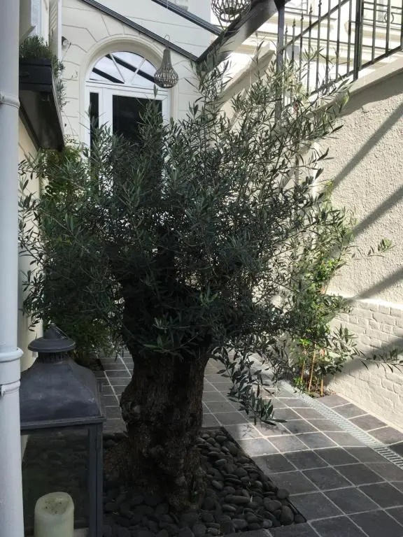 Le Dix-Huit Studio Duplex