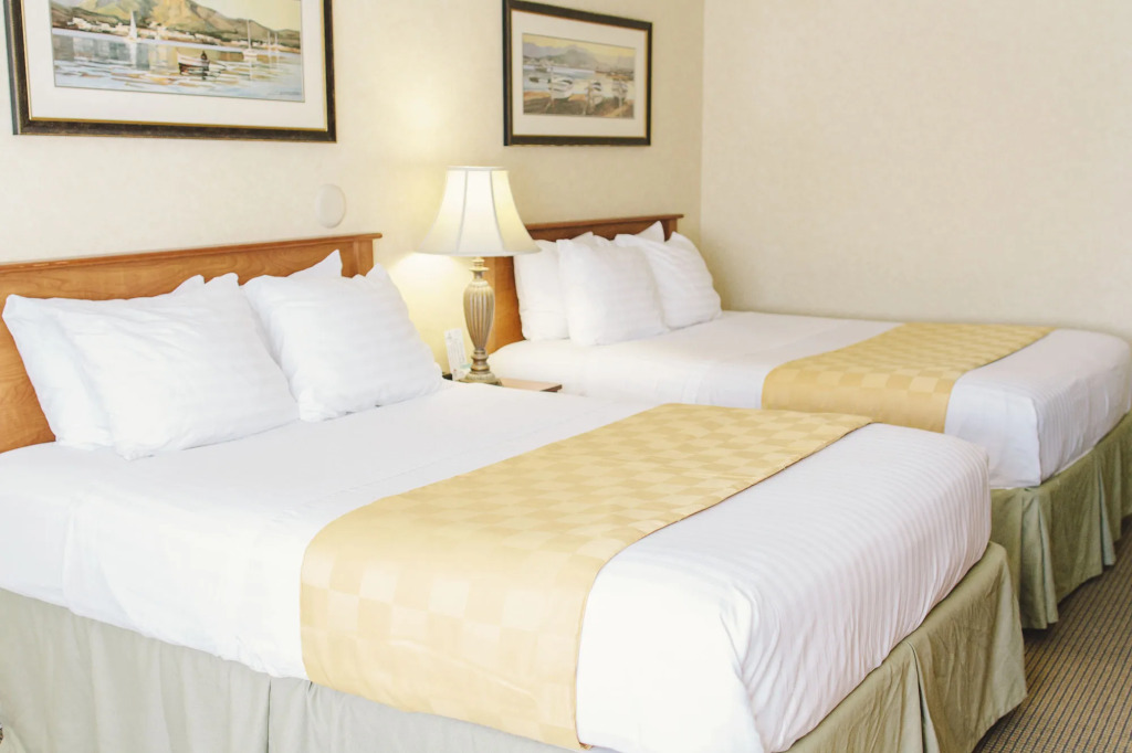 Lavissh Inn and Suites