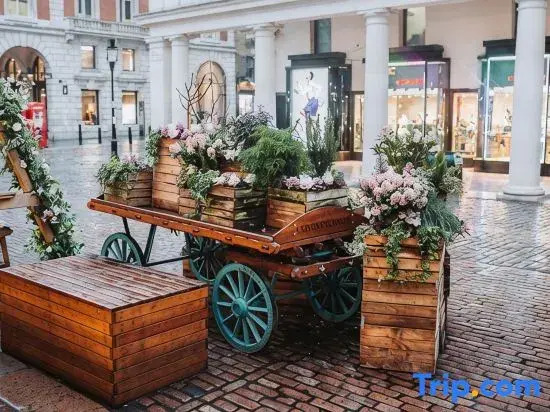 The Acre Abode IV - Covent Garden - by Frankie