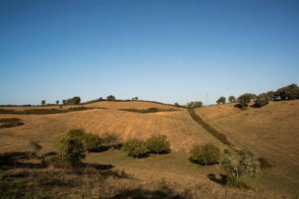 Monte Pedras Negras