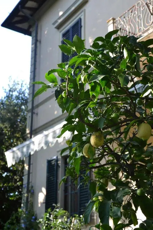 Villa Carola