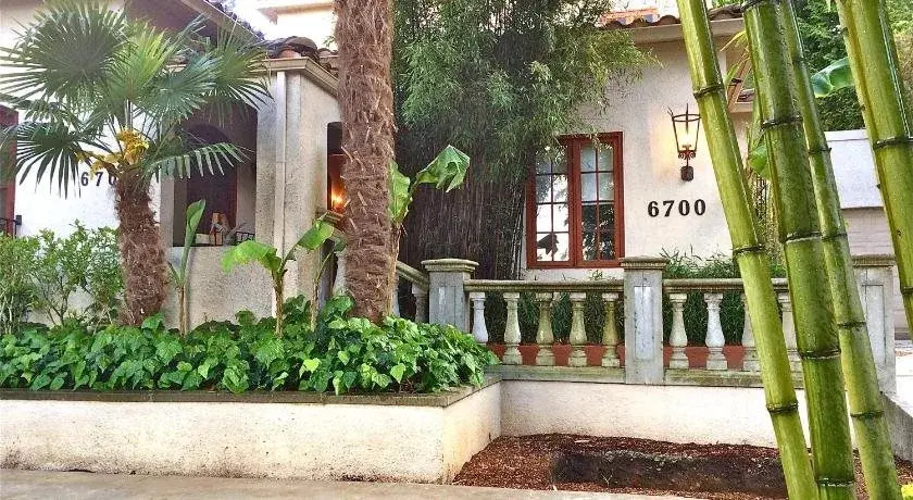 The Tropical Guesthouse